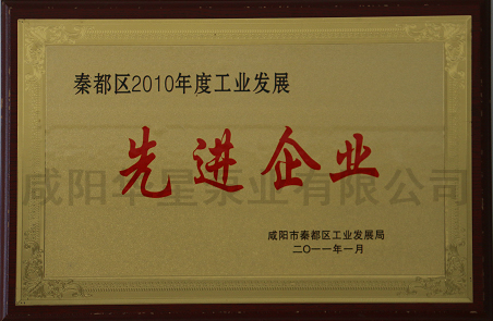 秦都區(qū)2010年度工業(yè)發(fā)展先進(jìn)企業(yè)